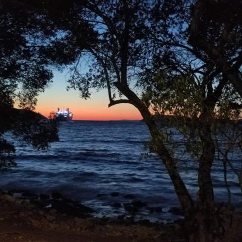 Oleas Stari Grad Hvar - 2 Min To Center Ocean Bus Supermarket Holiday House Εξωτερικό φωτογραφία