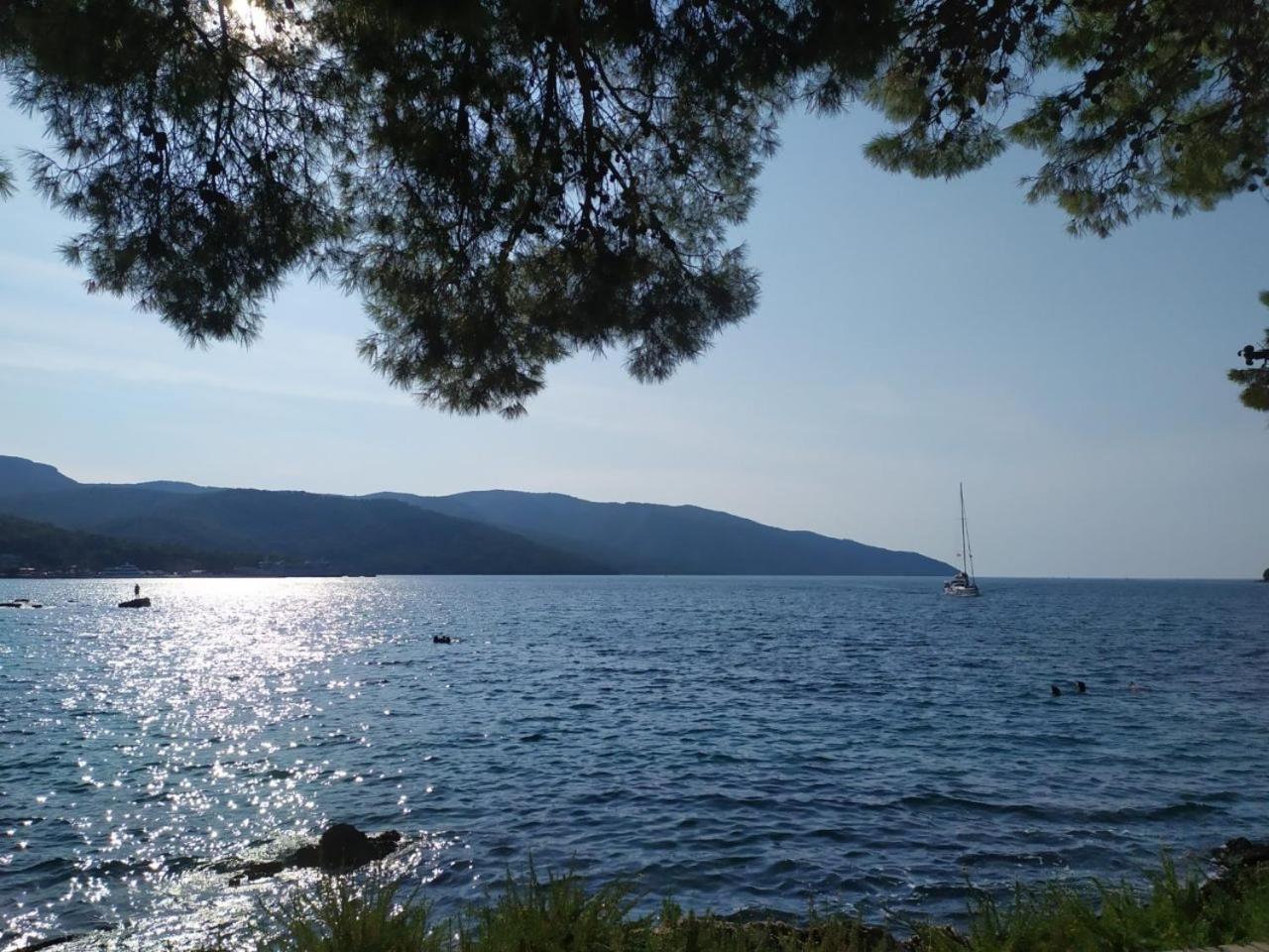 Oleas Stari Grad Hvar - 2 Min To Center Ocean Bus Supermarket Holiday House Εξωτερικό φωτογραφία